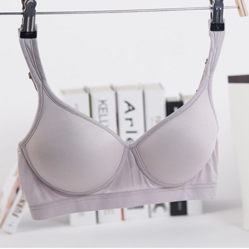 Silver Gray (Bra Style)