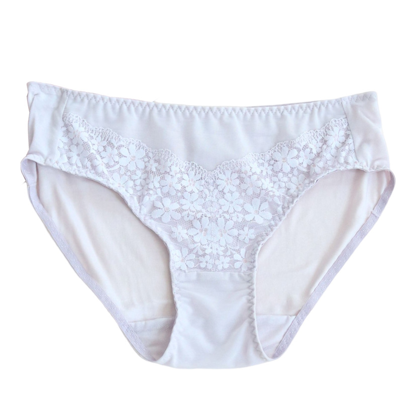 The Mulberry Silk Lace Bikini Briefs - Image 5
