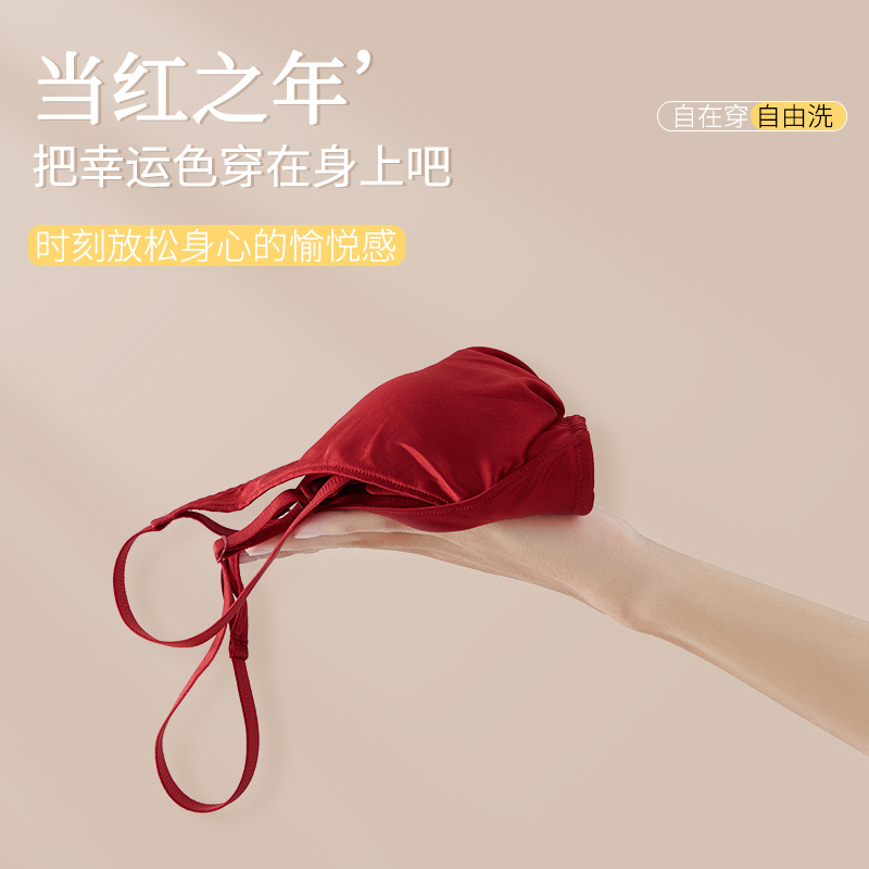 The Mulberry Silk Wire-Free Push-Up Bra Set - Image 3