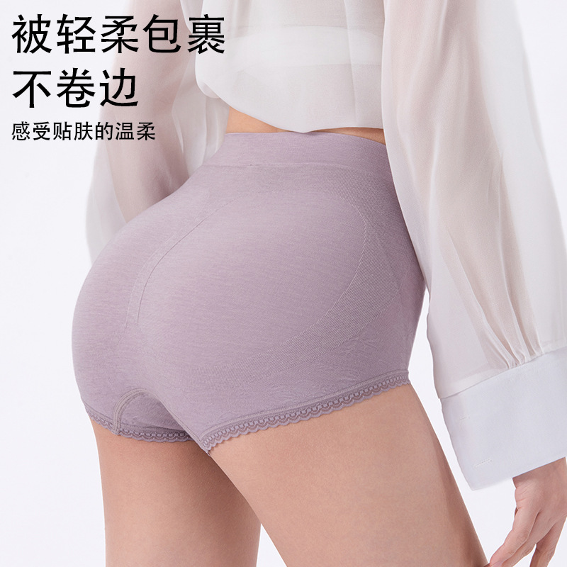 The Seamless Silk High Waist Briefs - Image 3