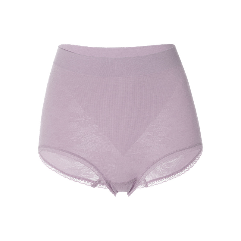 The Seamless Silk High Waist Briefs - Image 5