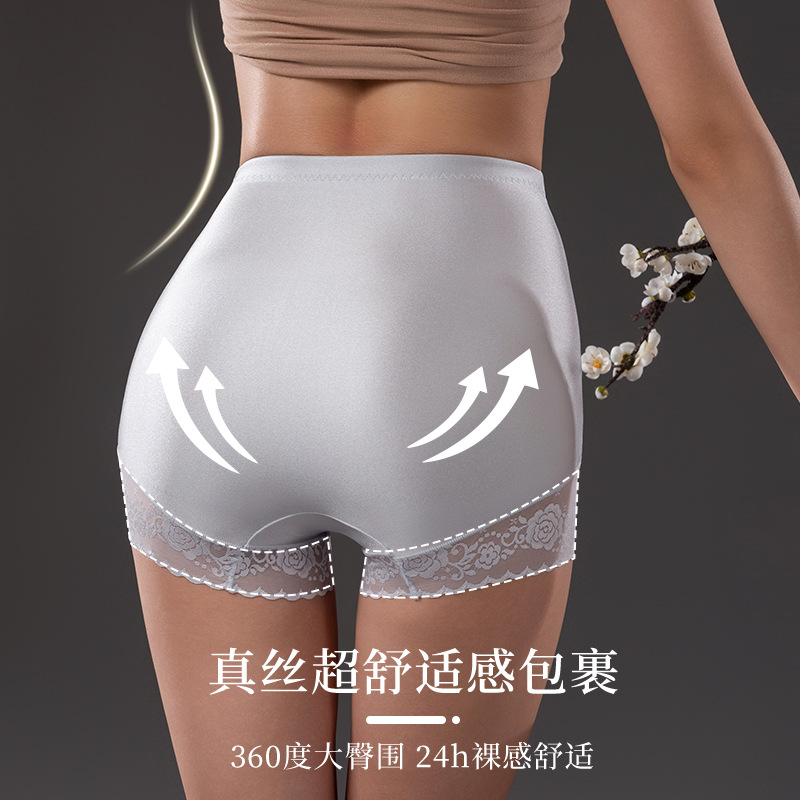 The Mulberry Silk High Waist Butt Lifting Briefs - Image 3