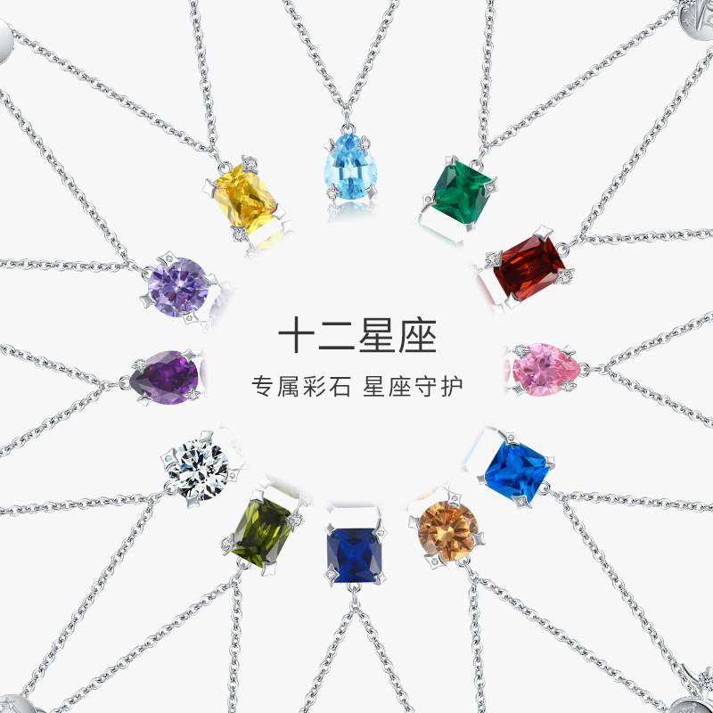 The S925 Sterling Silver Zodiac Necklace
