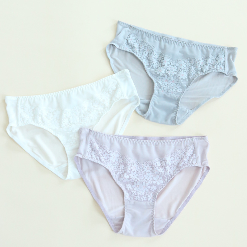 The Mulberry Silk Lace Bikini Briefs - Image 2