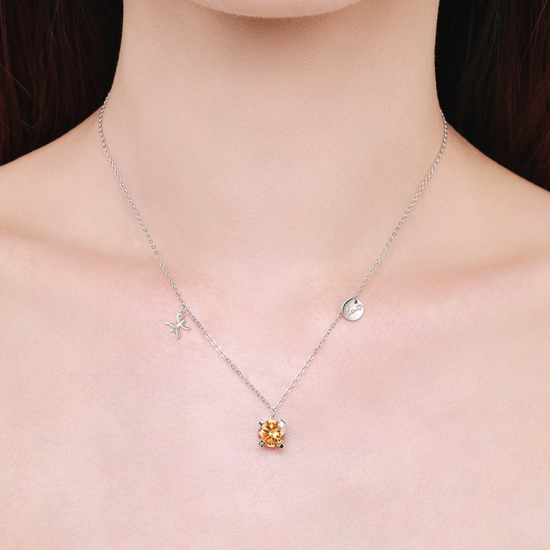 The S925 Sterling Silver Zodiac Necklace - Image 3
