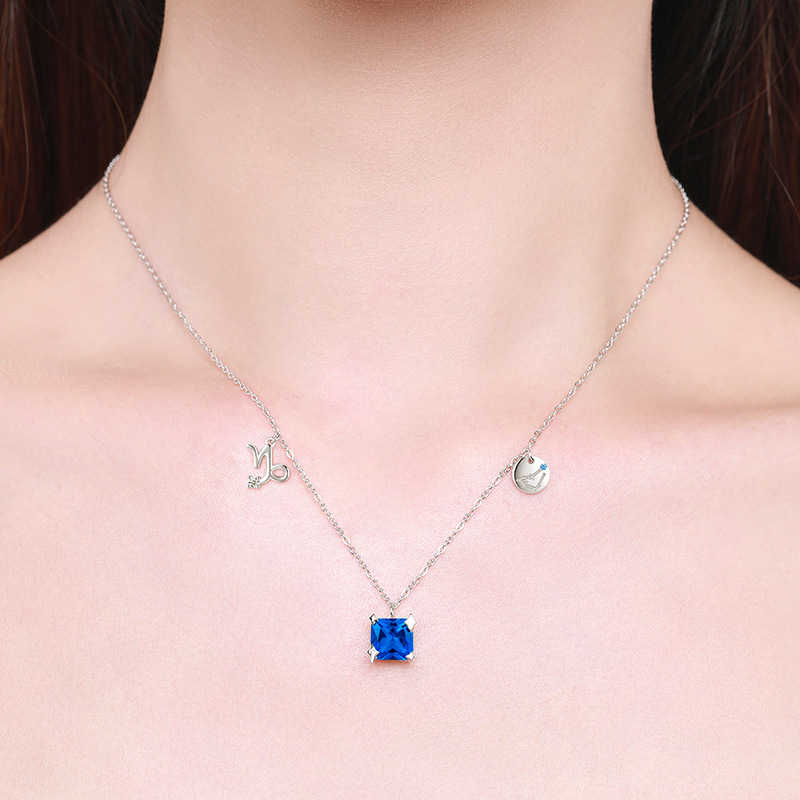The S925 Sterling Silver Capricorn Collarbone Necklace - Image 2