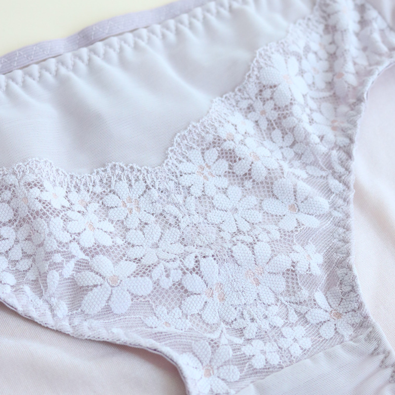 The Mulberry Silk Lace Bikini Briefs - Image 3