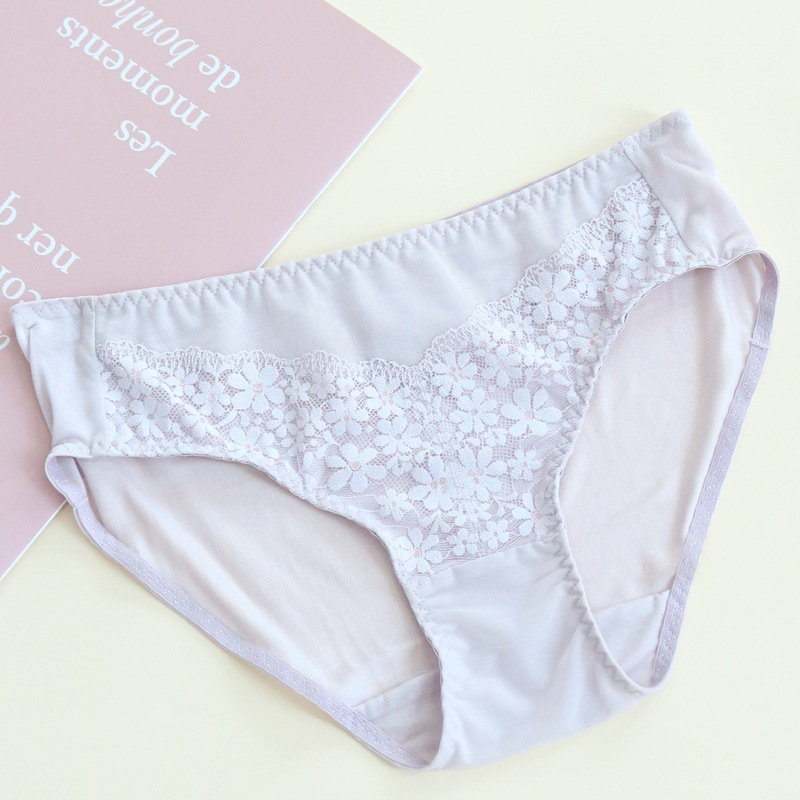 The Mulberry Silk Lace Bikini Briefs - Image 4
